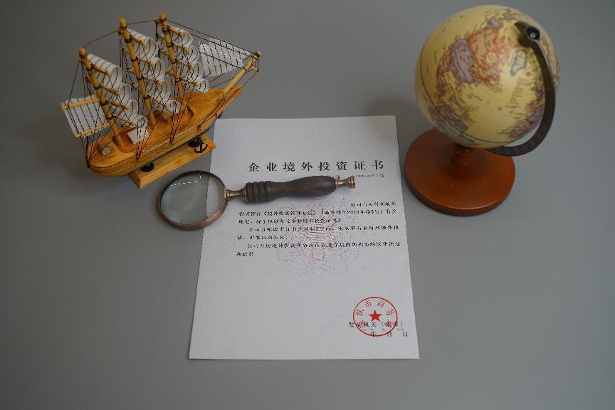 企業境外投資 企業境外投資