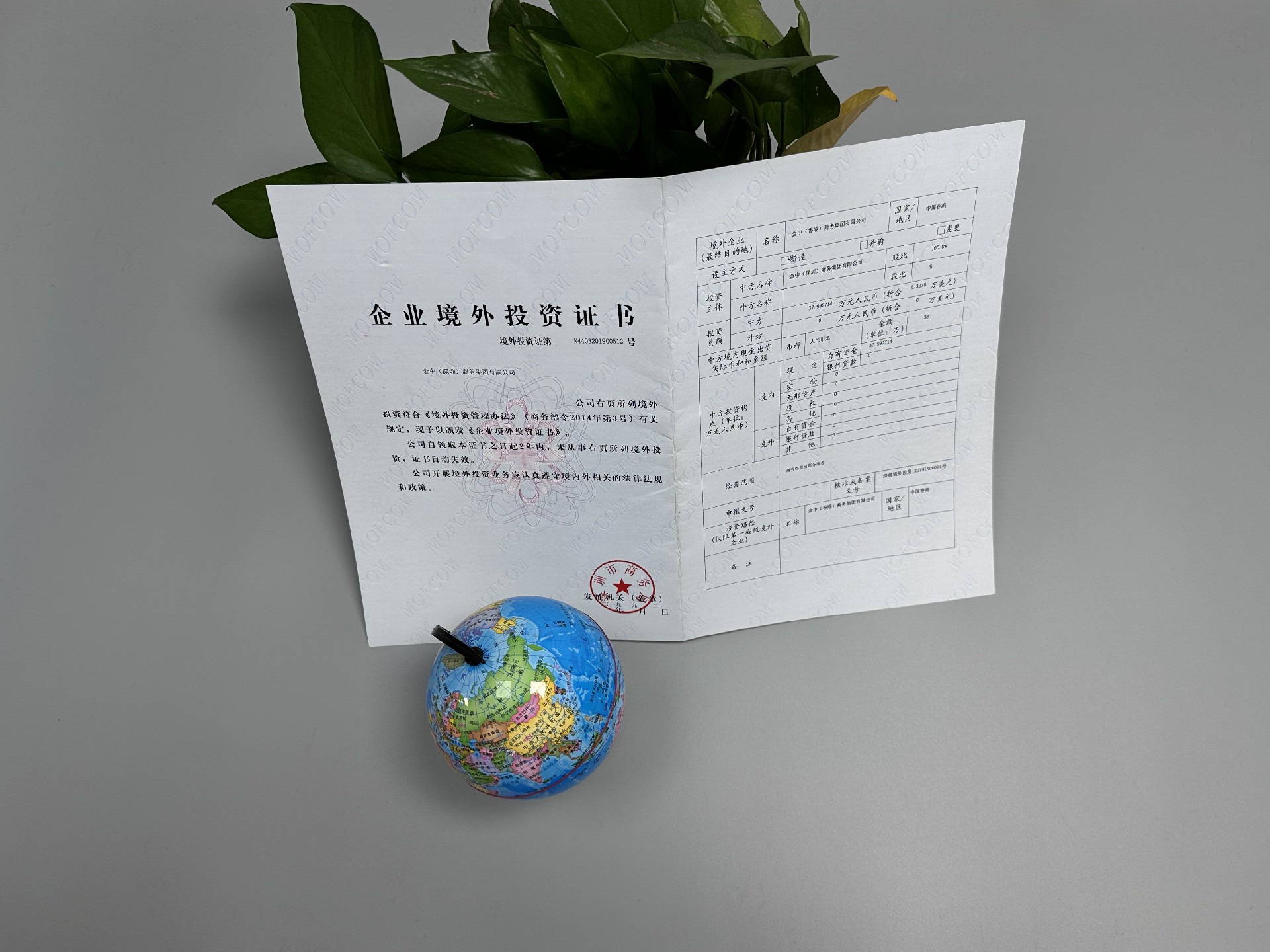 企業境外投資 企業境外投資