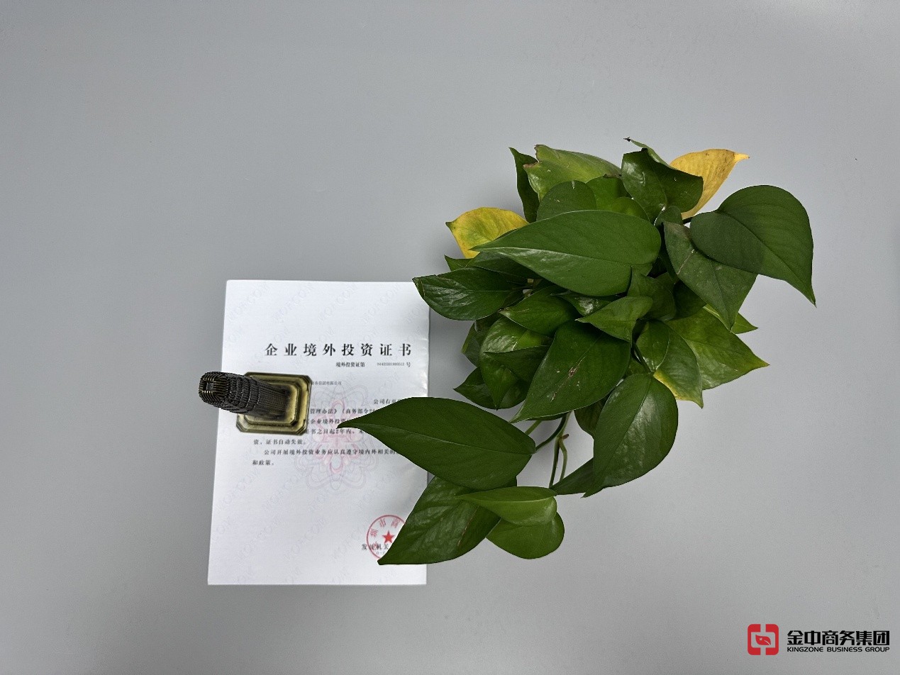 東南亞ODI備案 東南亞ODI備案