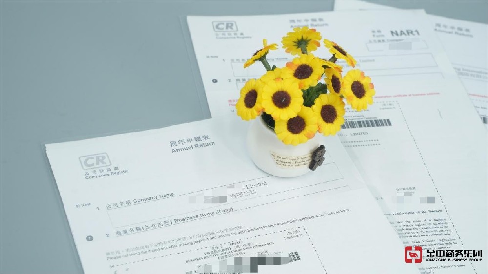 香港公司年審 香港公司年審